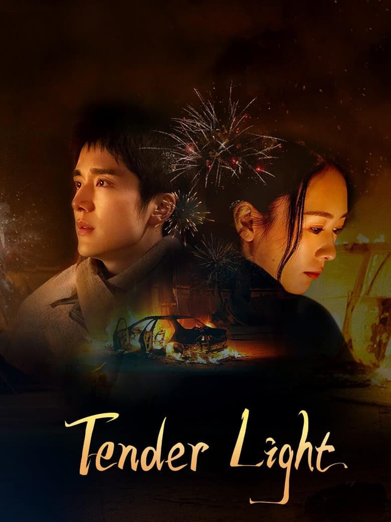 Watch Tender Light (2024) Chinese Drama English Sub Episodes at DramaCool